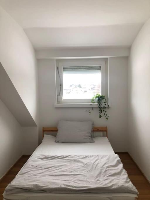 Casa More Niederalm Zewnętrze zdjęcie